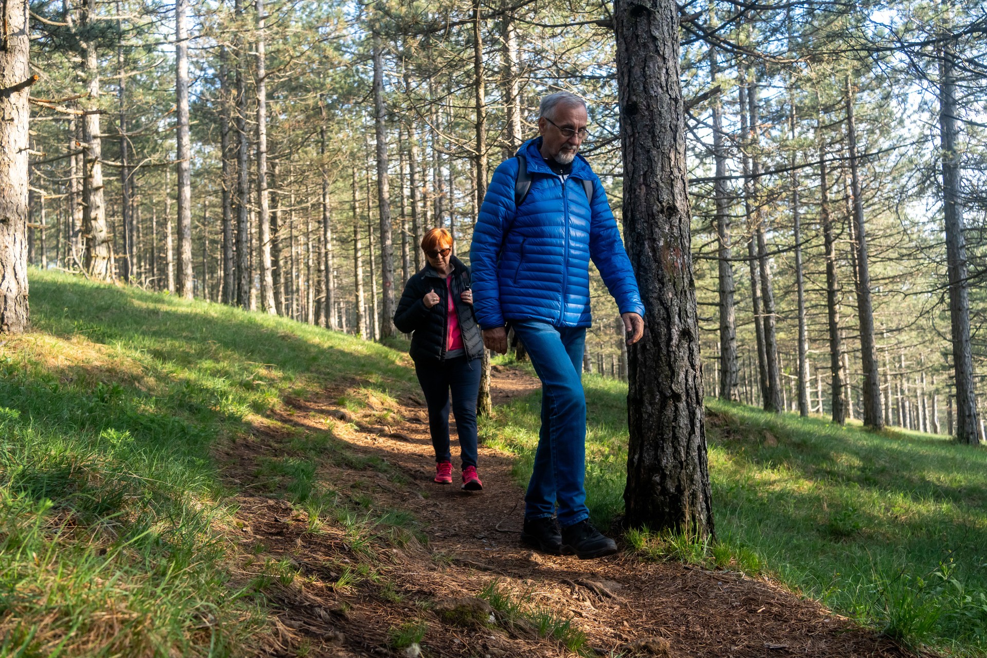 Senior couple walking in a forest.